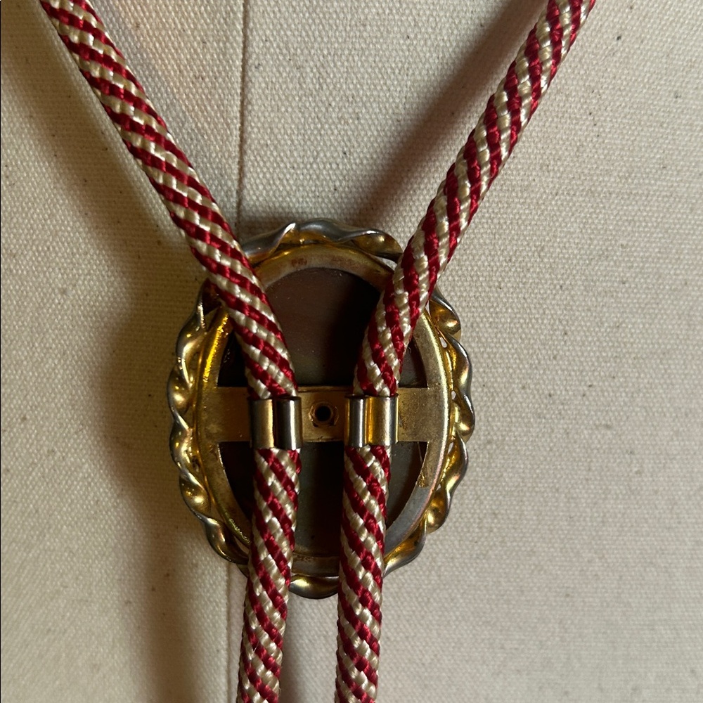 Vintage Polished Jasper Stone Bolo Tie - Picture 3 of 10
